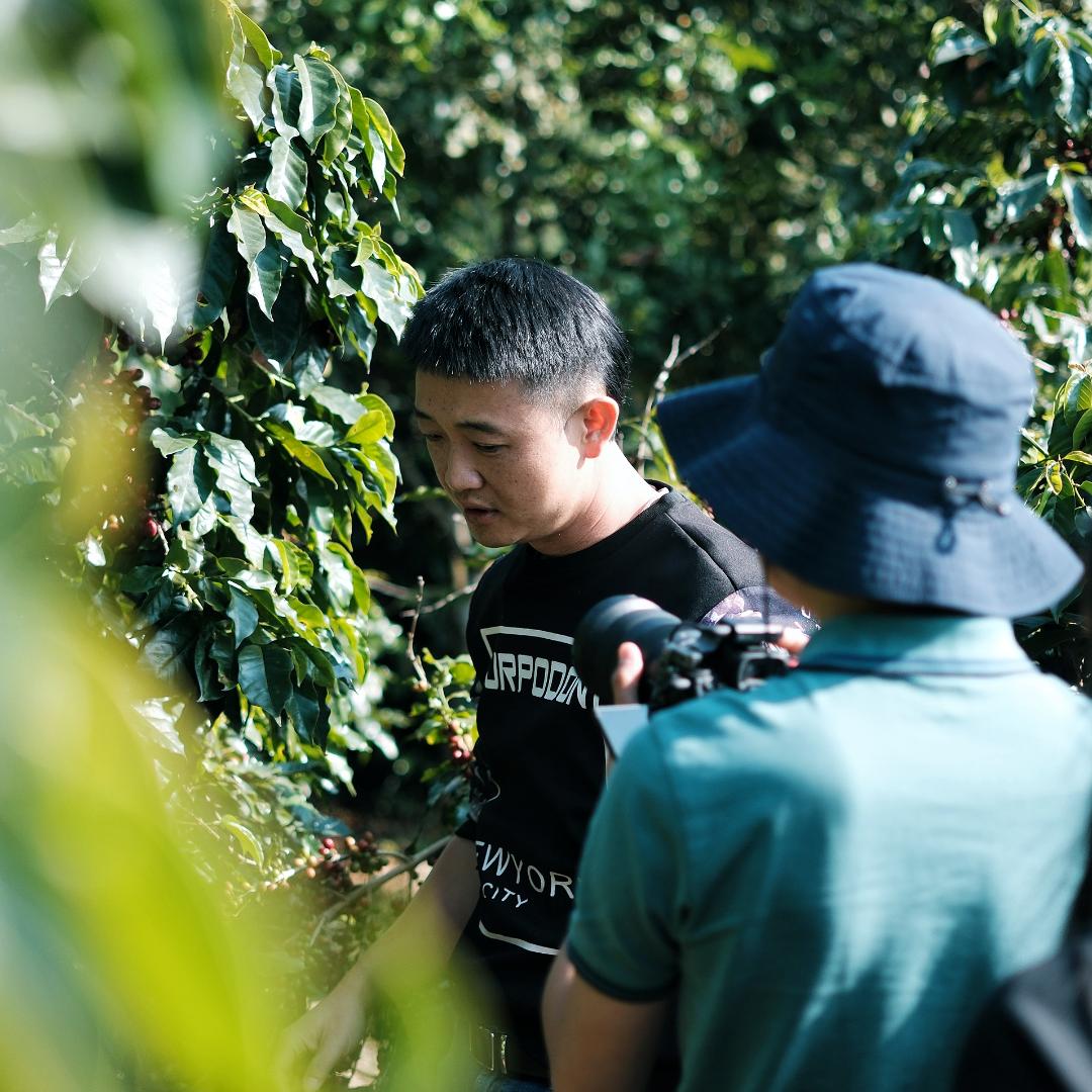 澜沧咖啡汉谷科