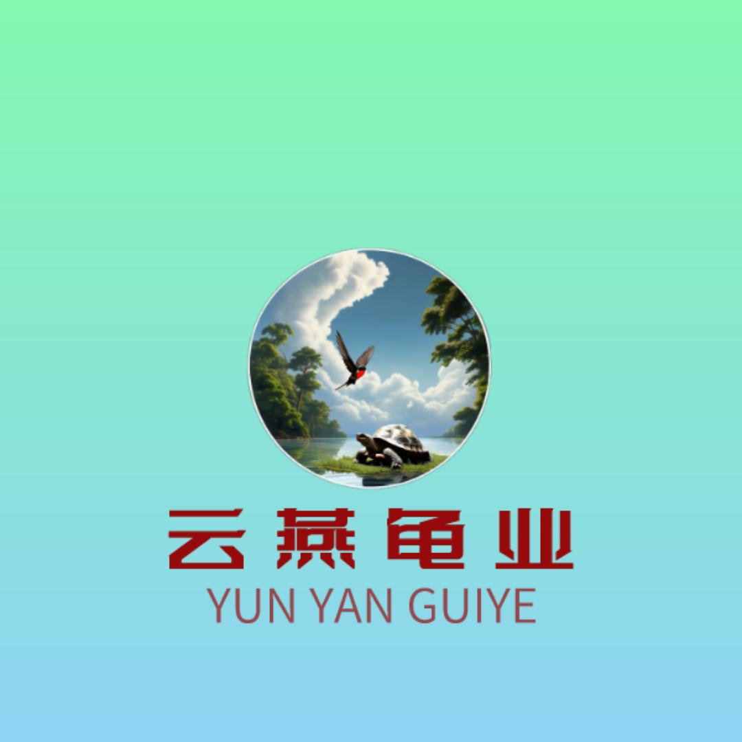 雲燕龟业
