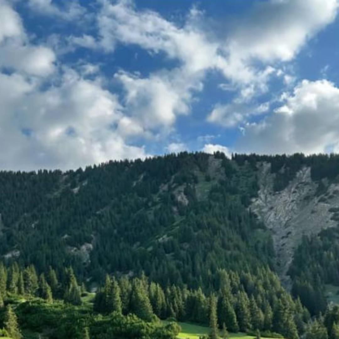 远山