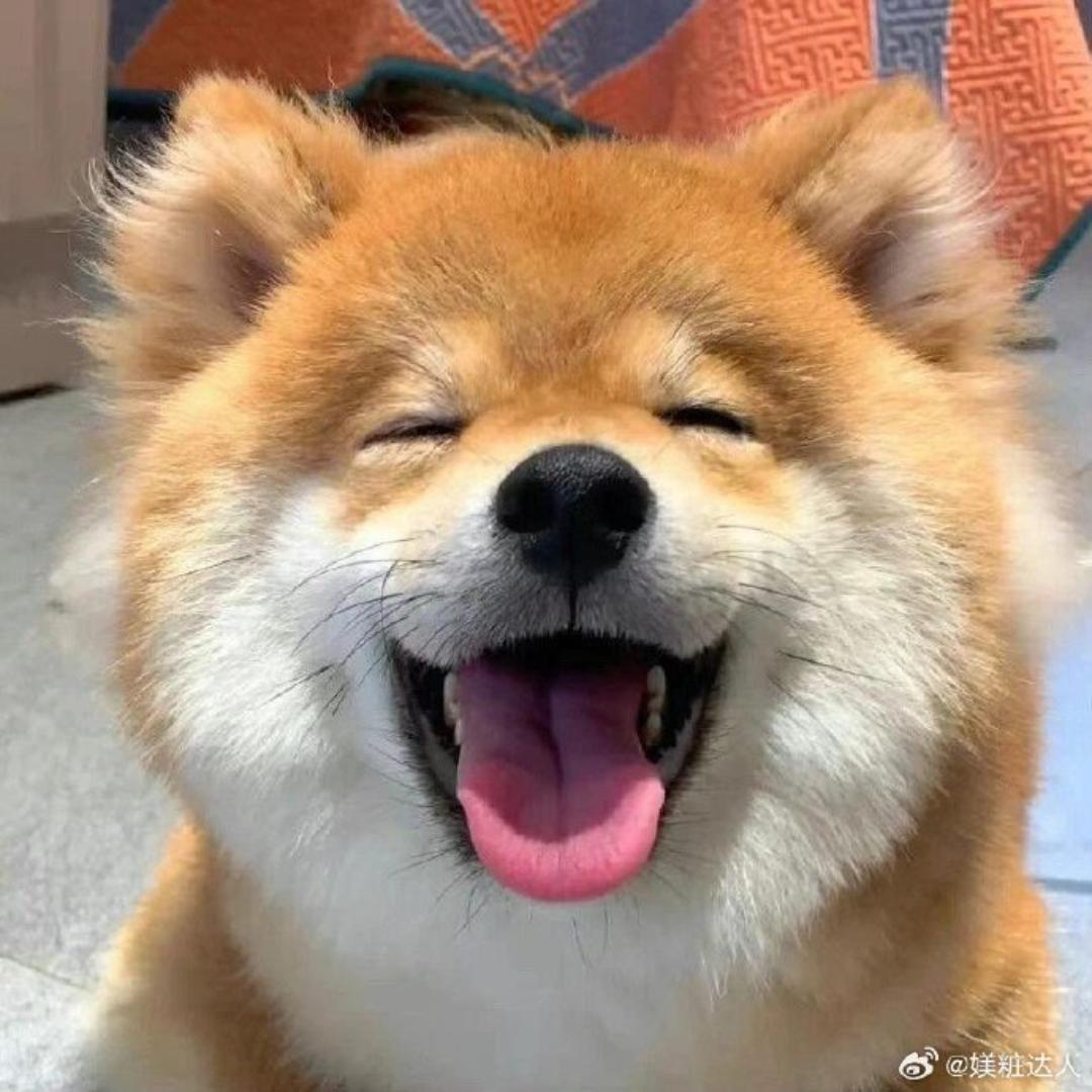 科学养宠张锋