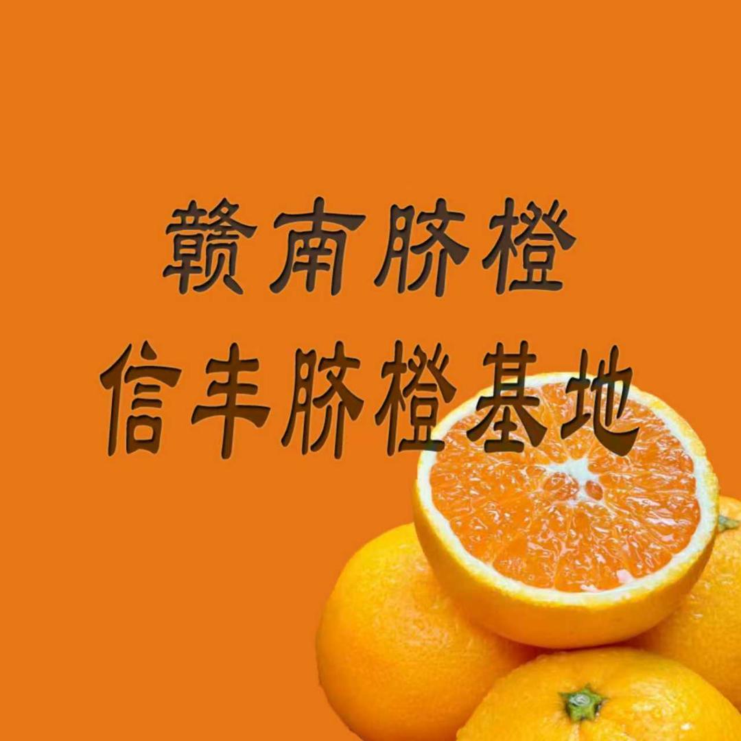 赣南脐橙信丰脐橙基地