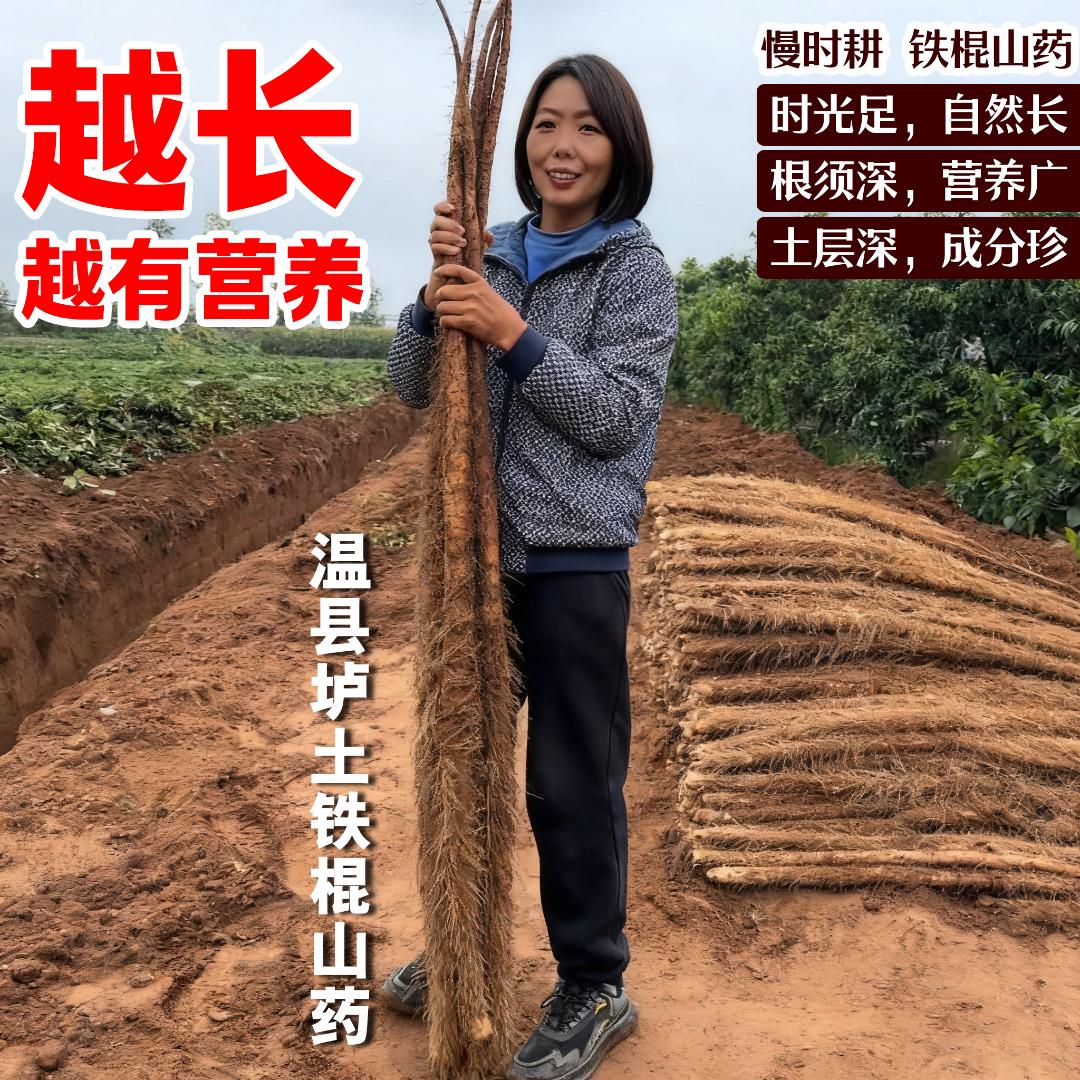 慢时耕铁棍山药一越长，越有营养