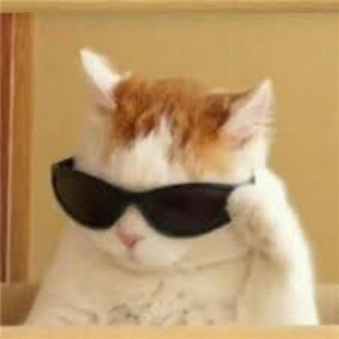 🌈全中奖体质！