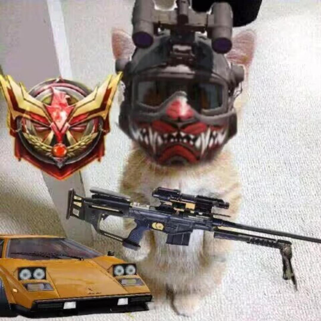 电竞小熊猫