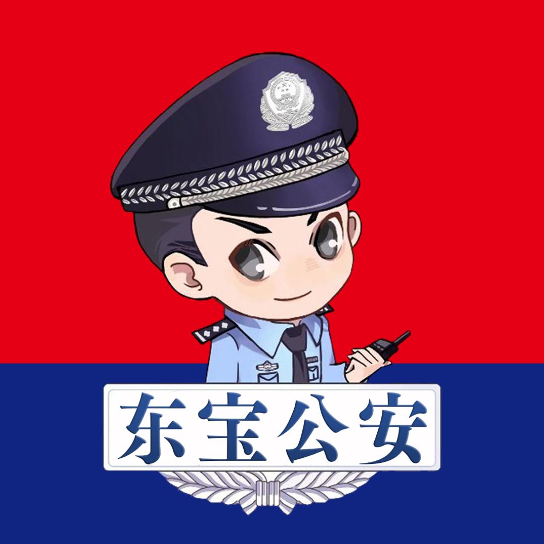 东宝公安