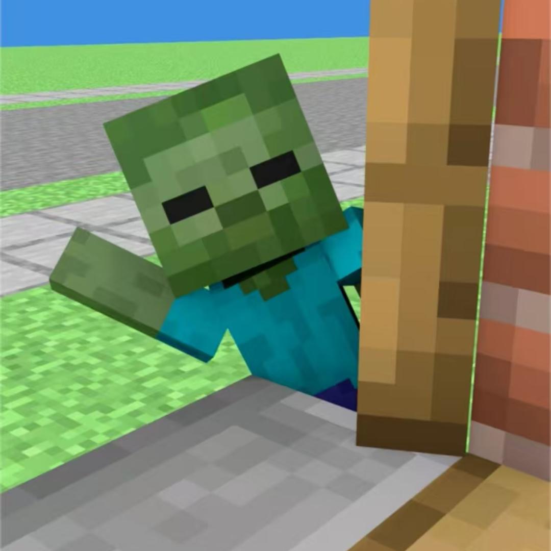 阿来（打僵尸）