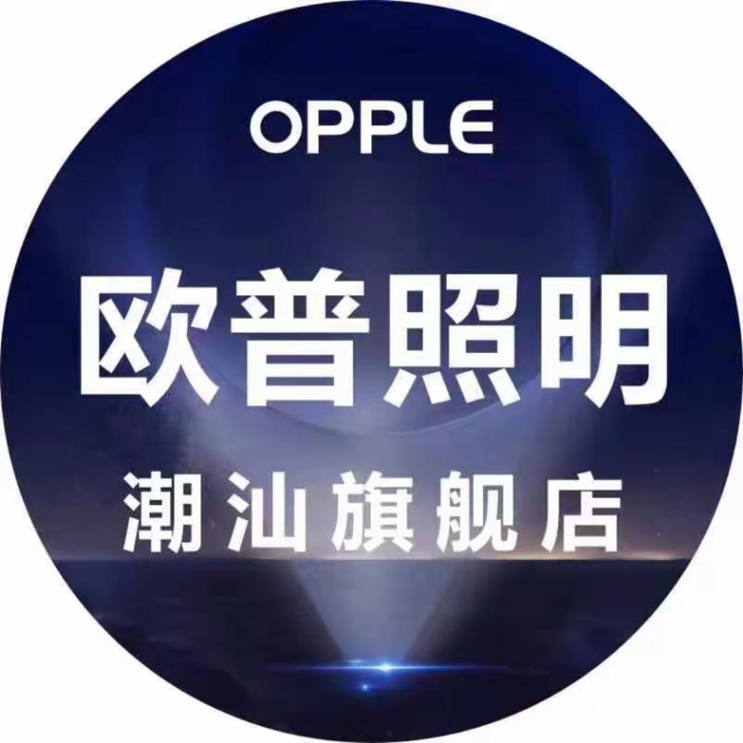 揭阳市硕隆商贸有限公司