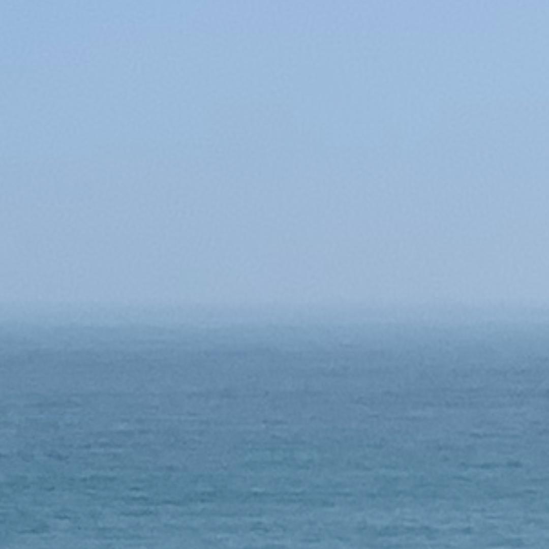 大海飞跃