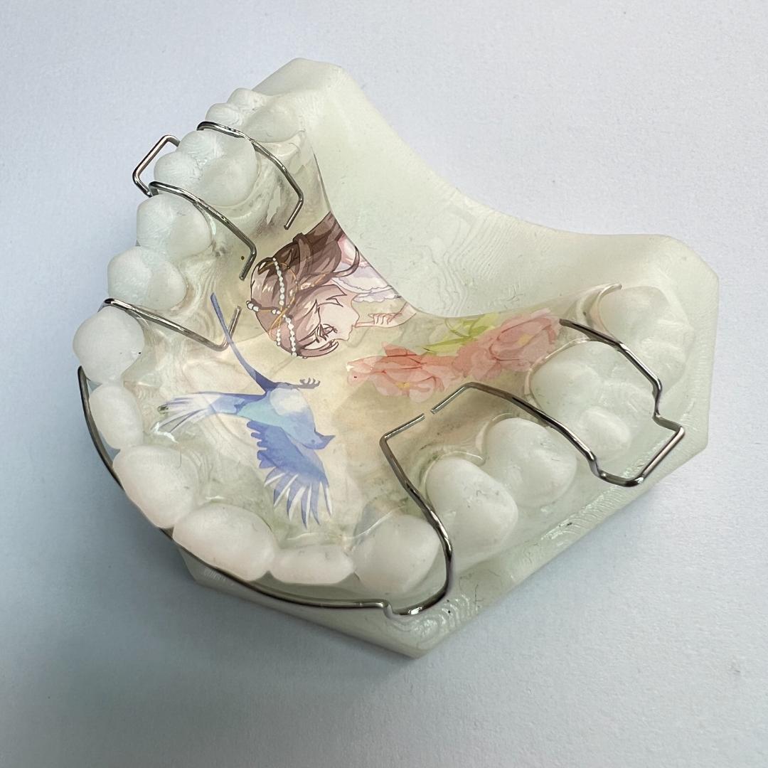 早矫方案设计