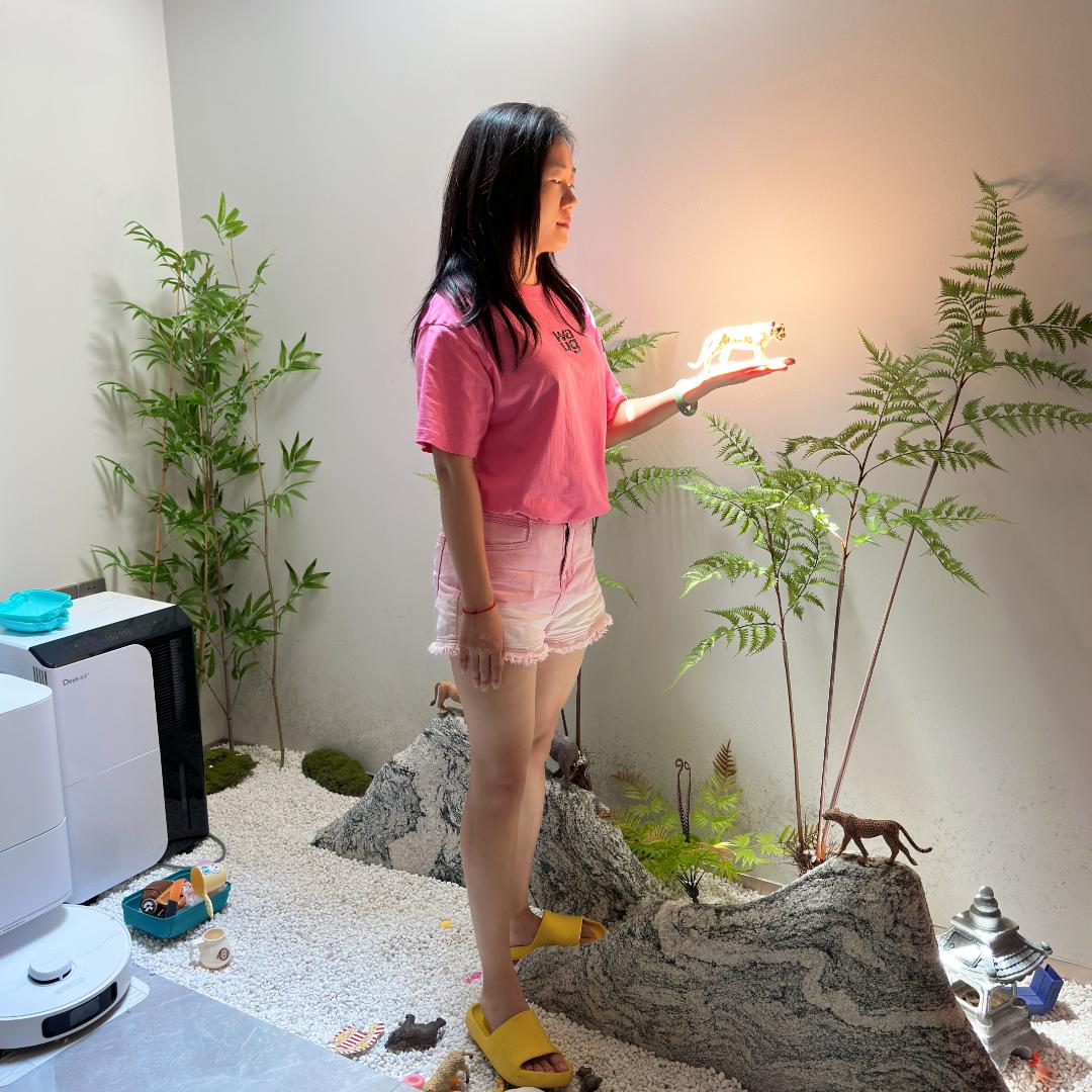 多米麻麻装修记