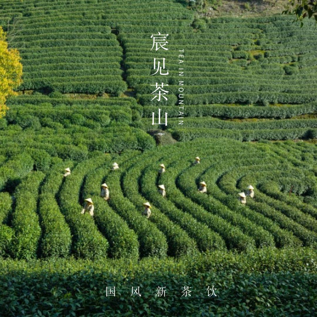 宸见茶山