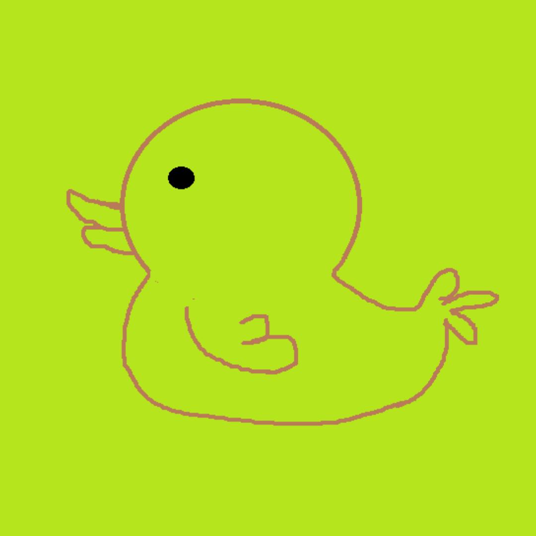 Duck小鸭