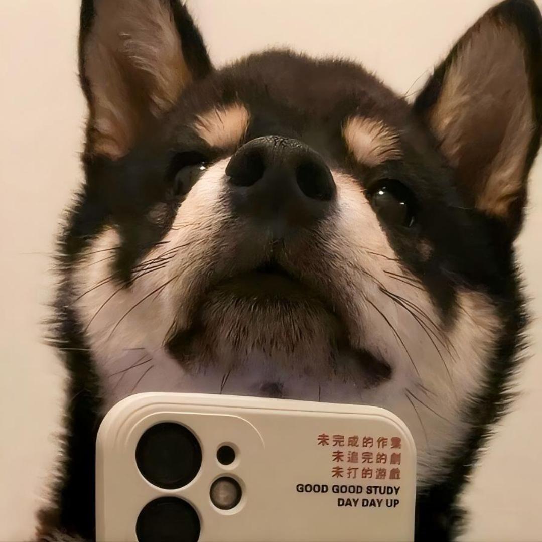 黑豆✨️吃不饱