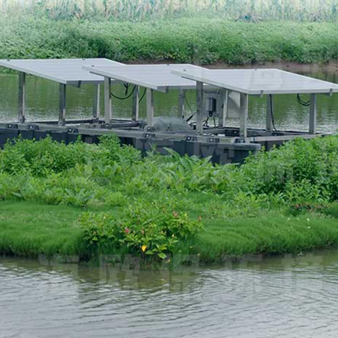 人工湿地
