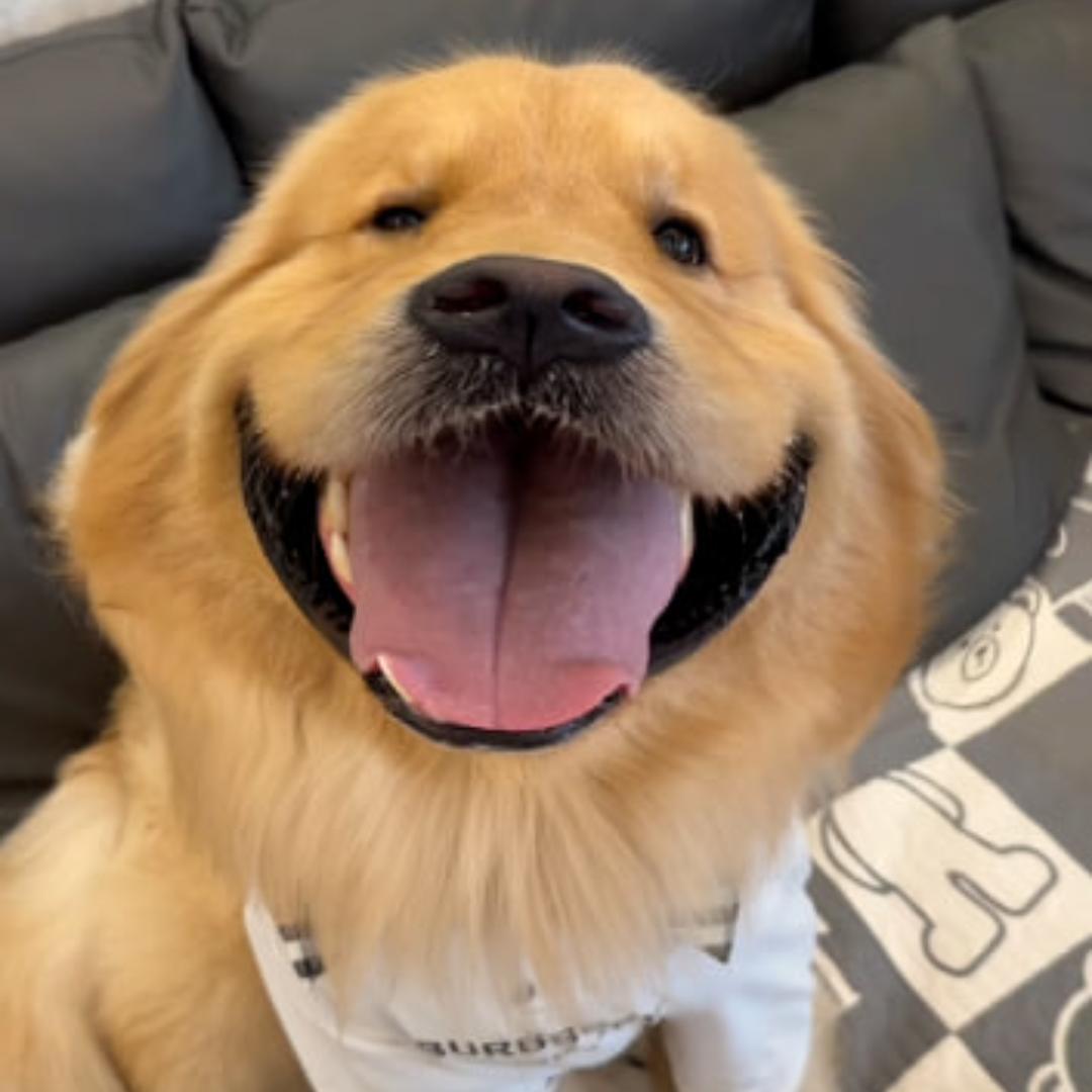 郑成飞劳务服务精选铺