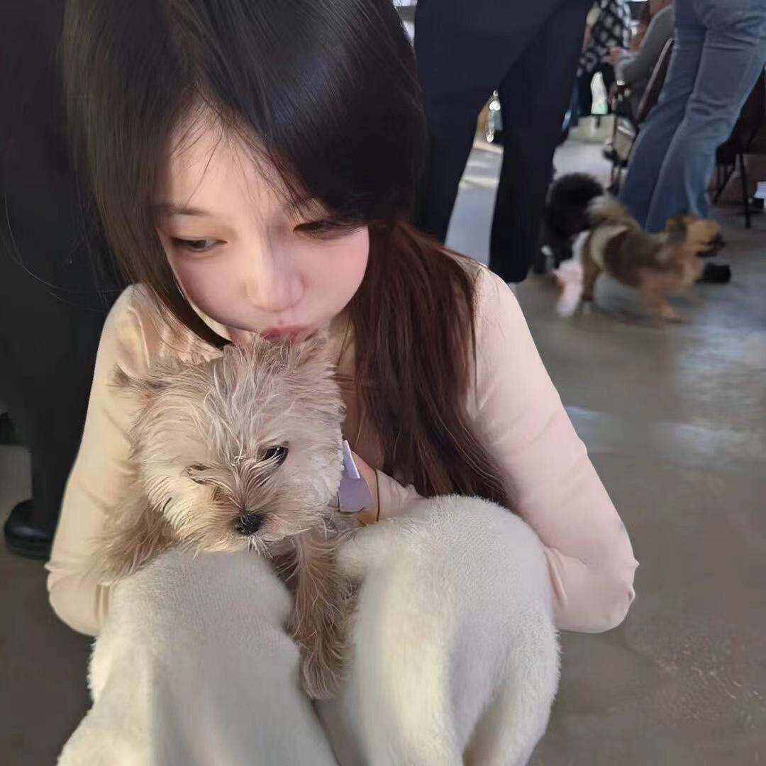 灵儿