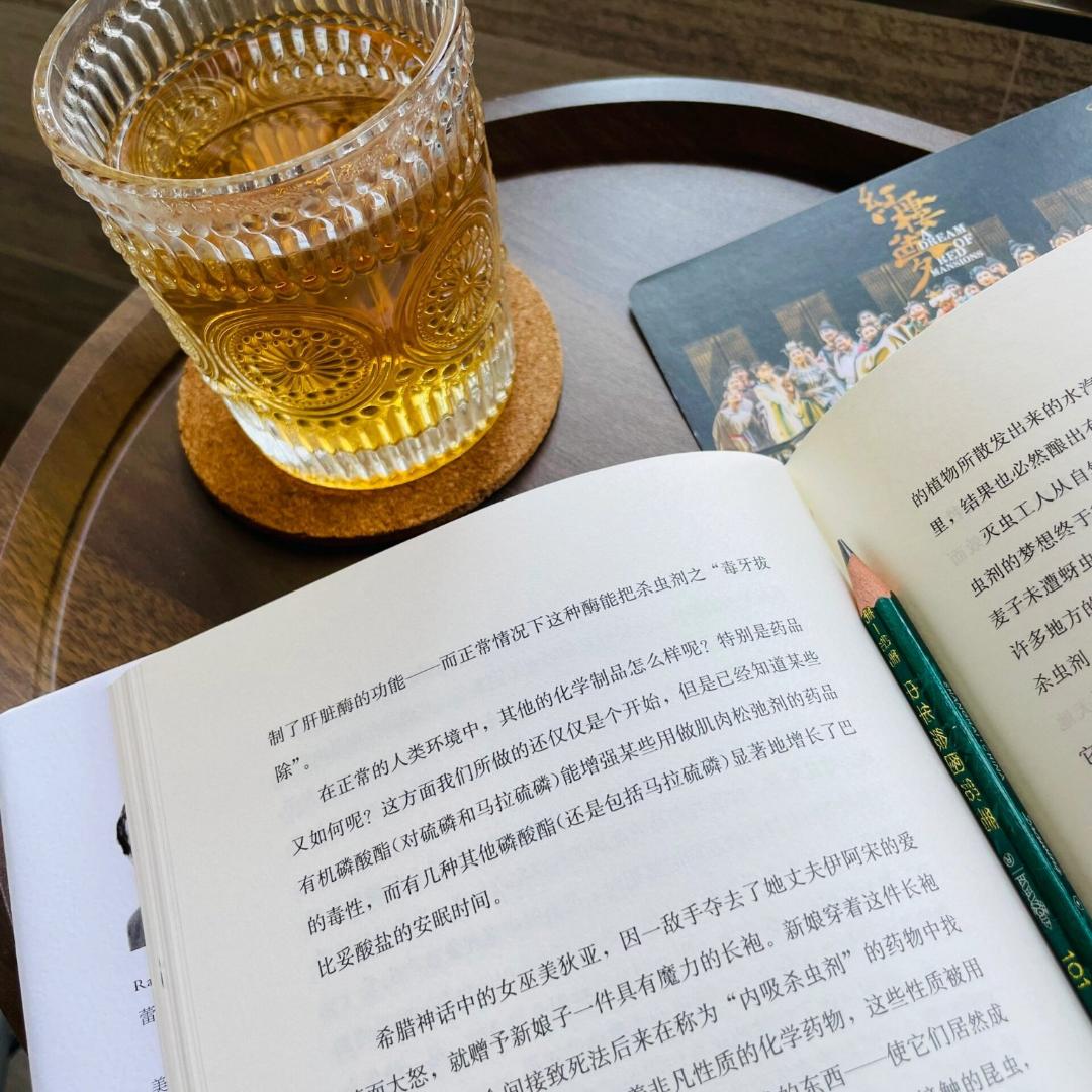 青春🍁