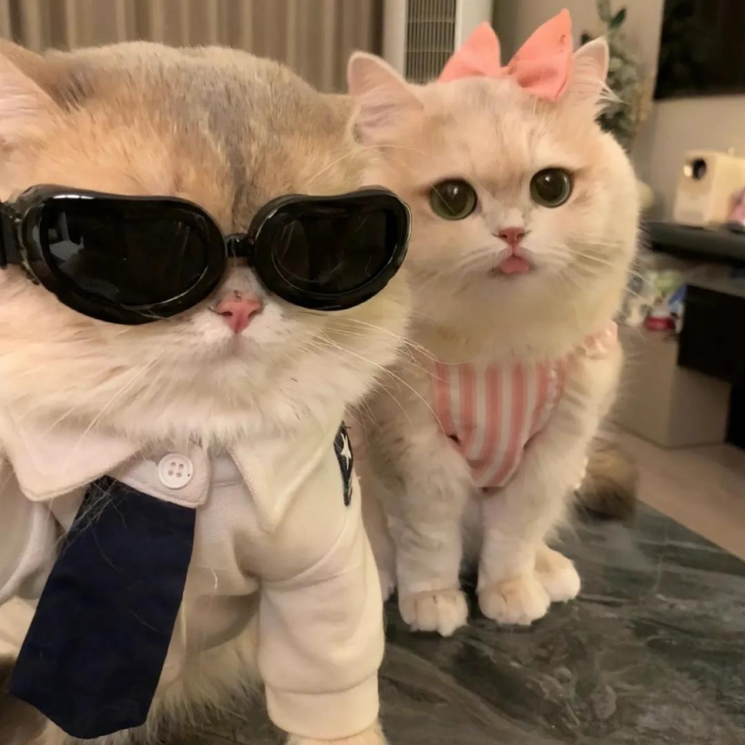 未知气味themood礼物