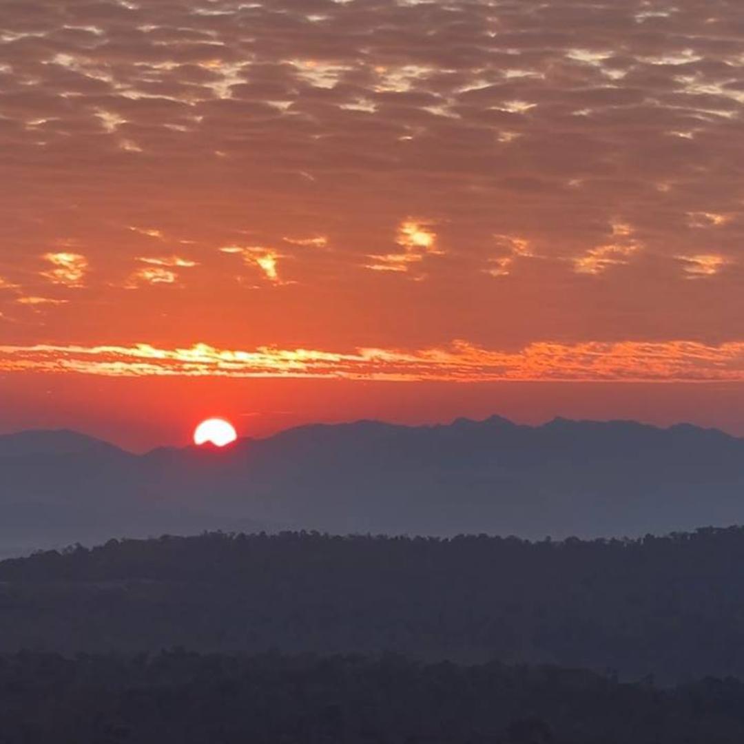 广州预艳石油严选铺子