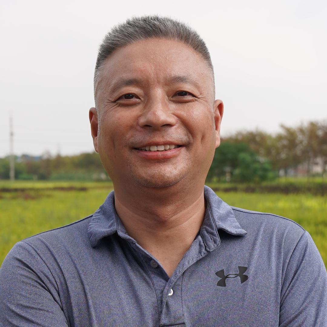 鸭稻萍共生