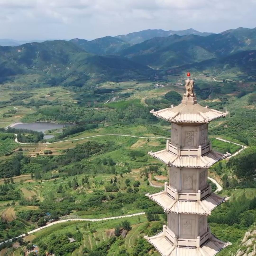 山东青年文化传媒