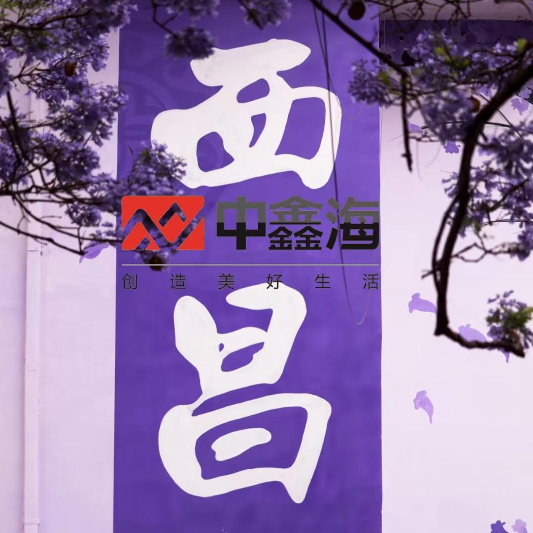 中鑫海租车洪哥