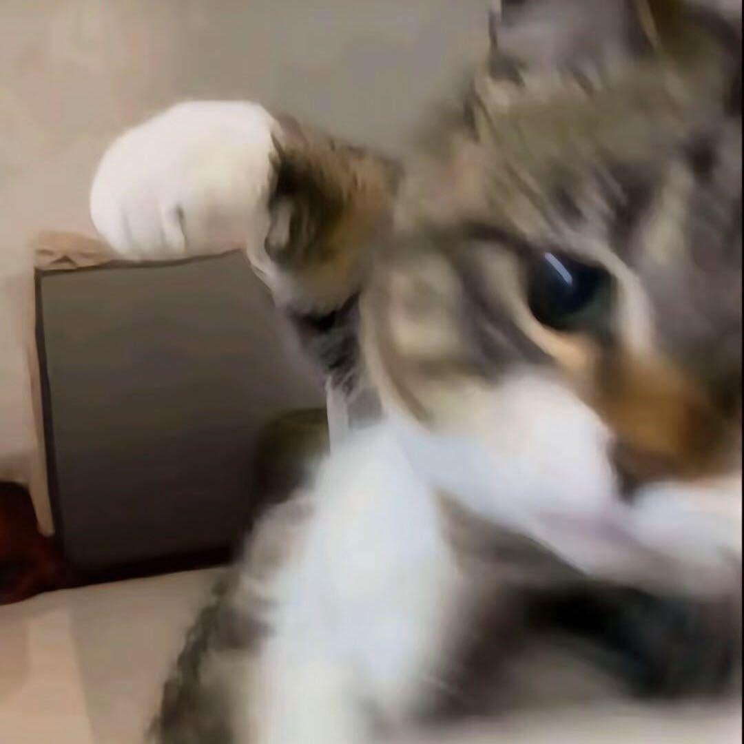 王者荣耀凡(国服马超)