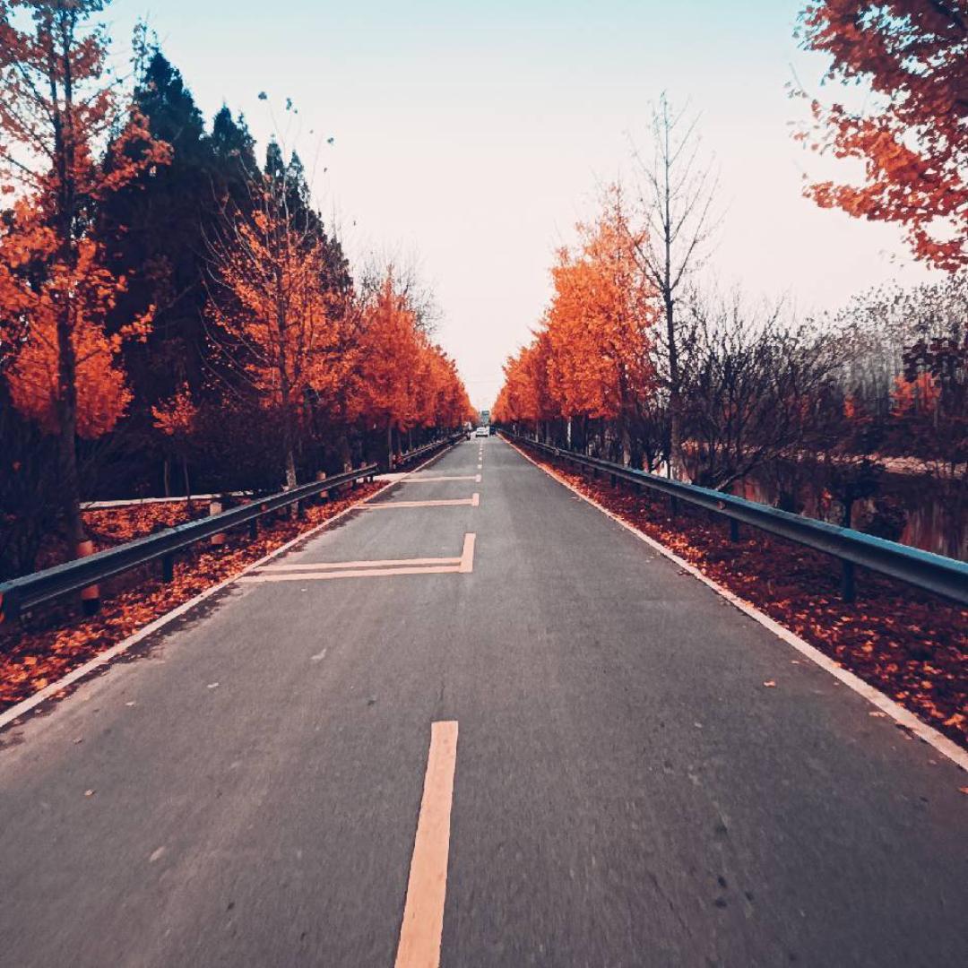 日短江湖白发前