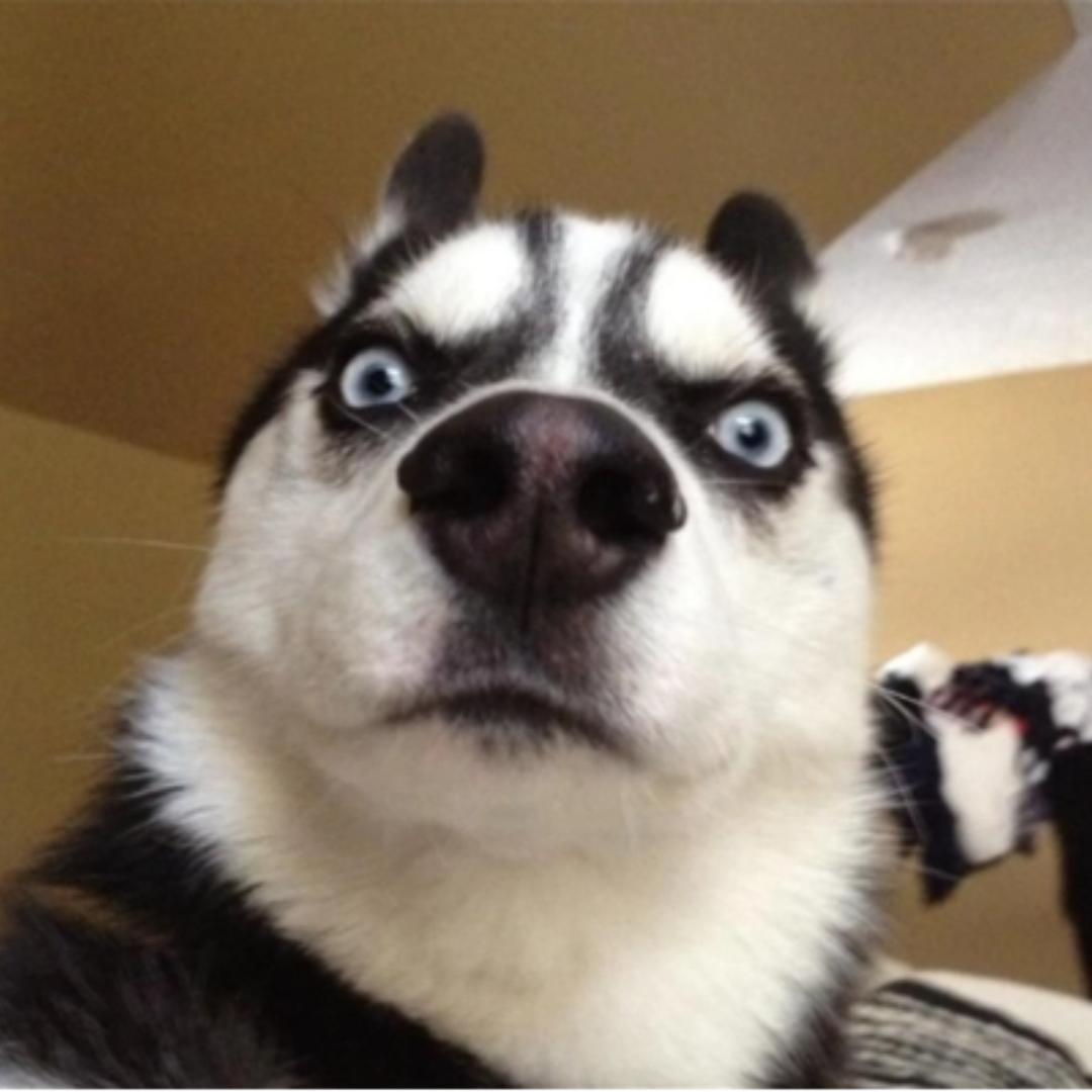 北冰洋[命运方舟]