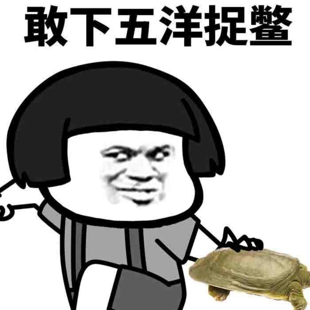 捉鳖灵