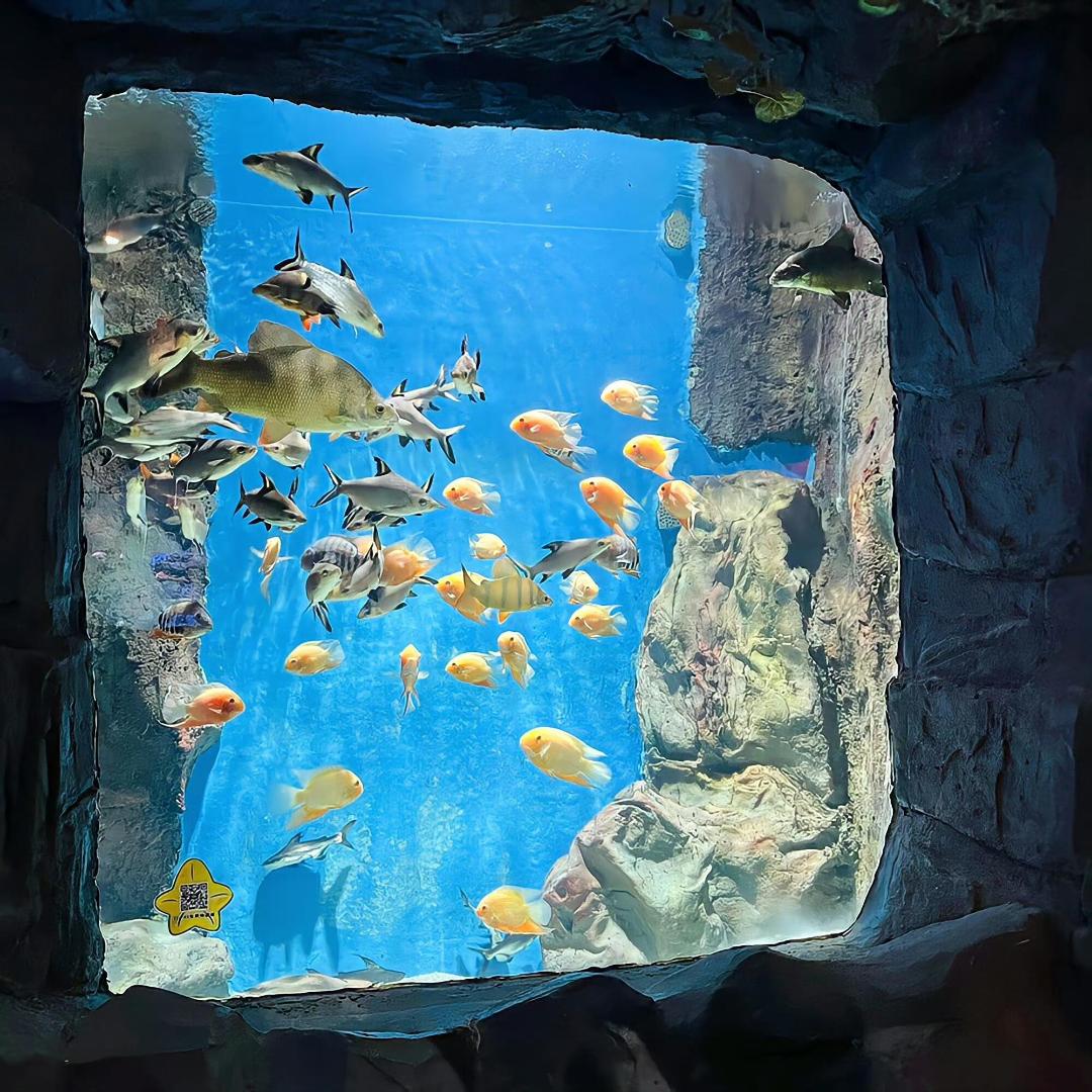 渔老板🐟