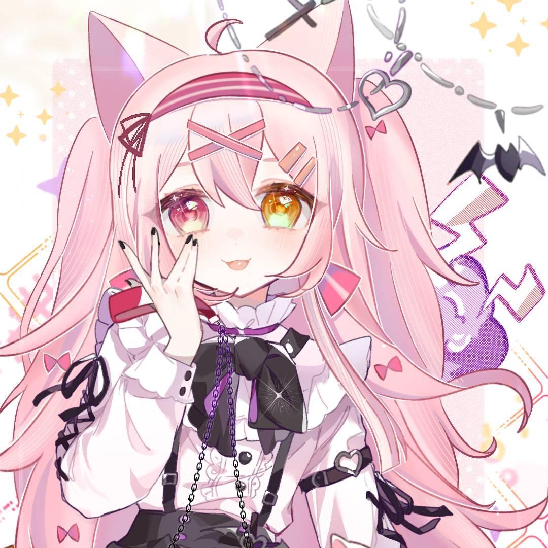 小猫来信俱乐部