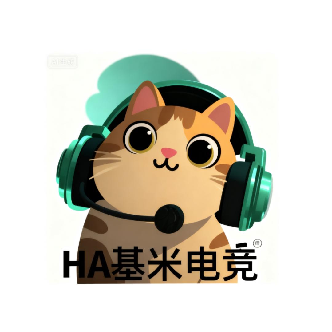 HA基米电竞