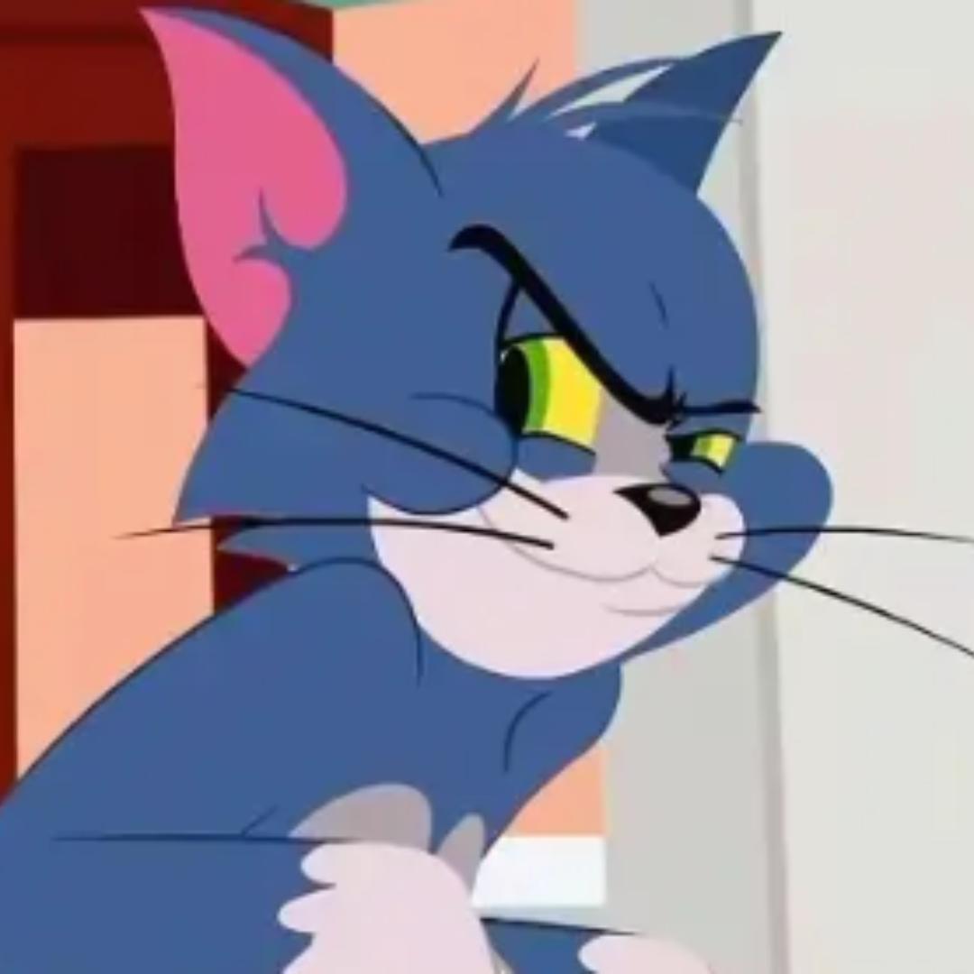 一个🐱