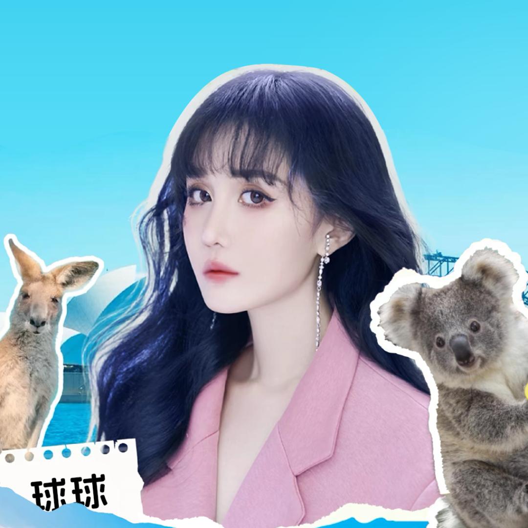球球优选推荐官