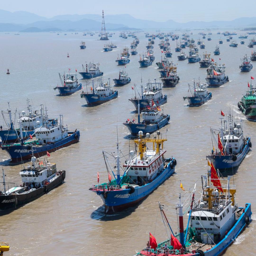 兄妹高端海鲜