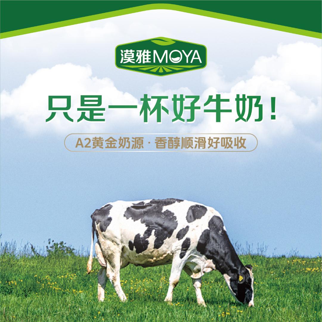 漠雅纯牛奶