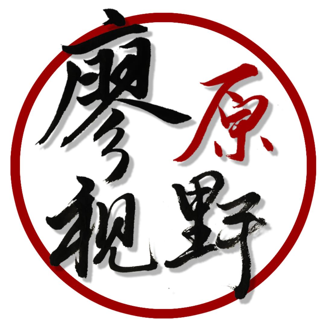 廖原视野