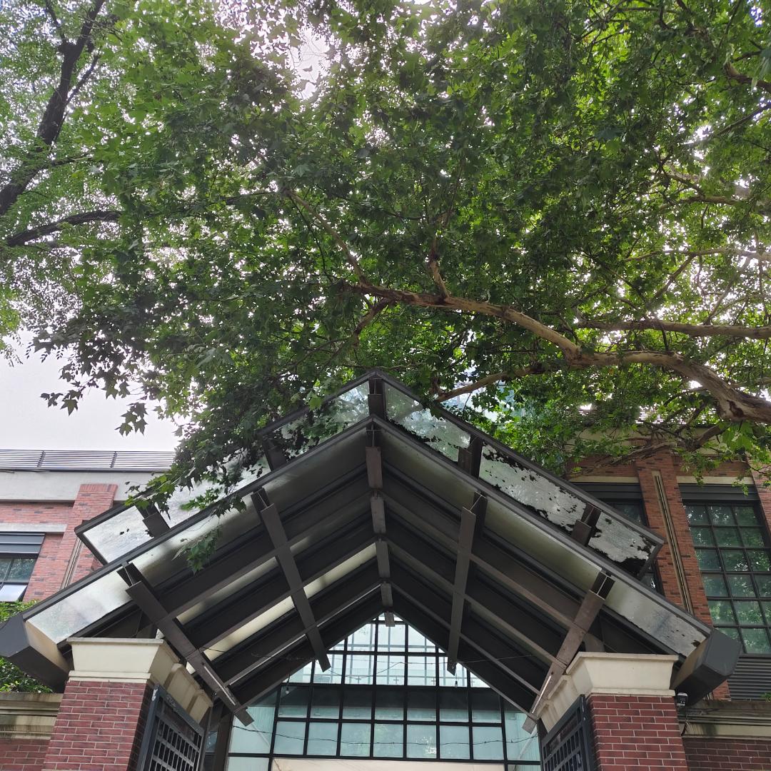 生态中国南京小分队