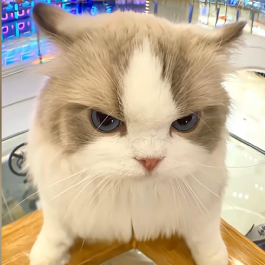 阿袜