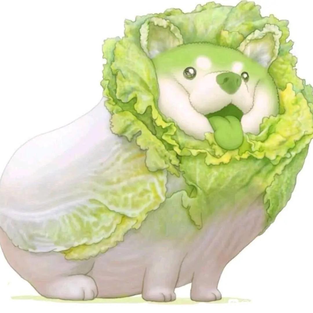菜狗也想成为糕手主播