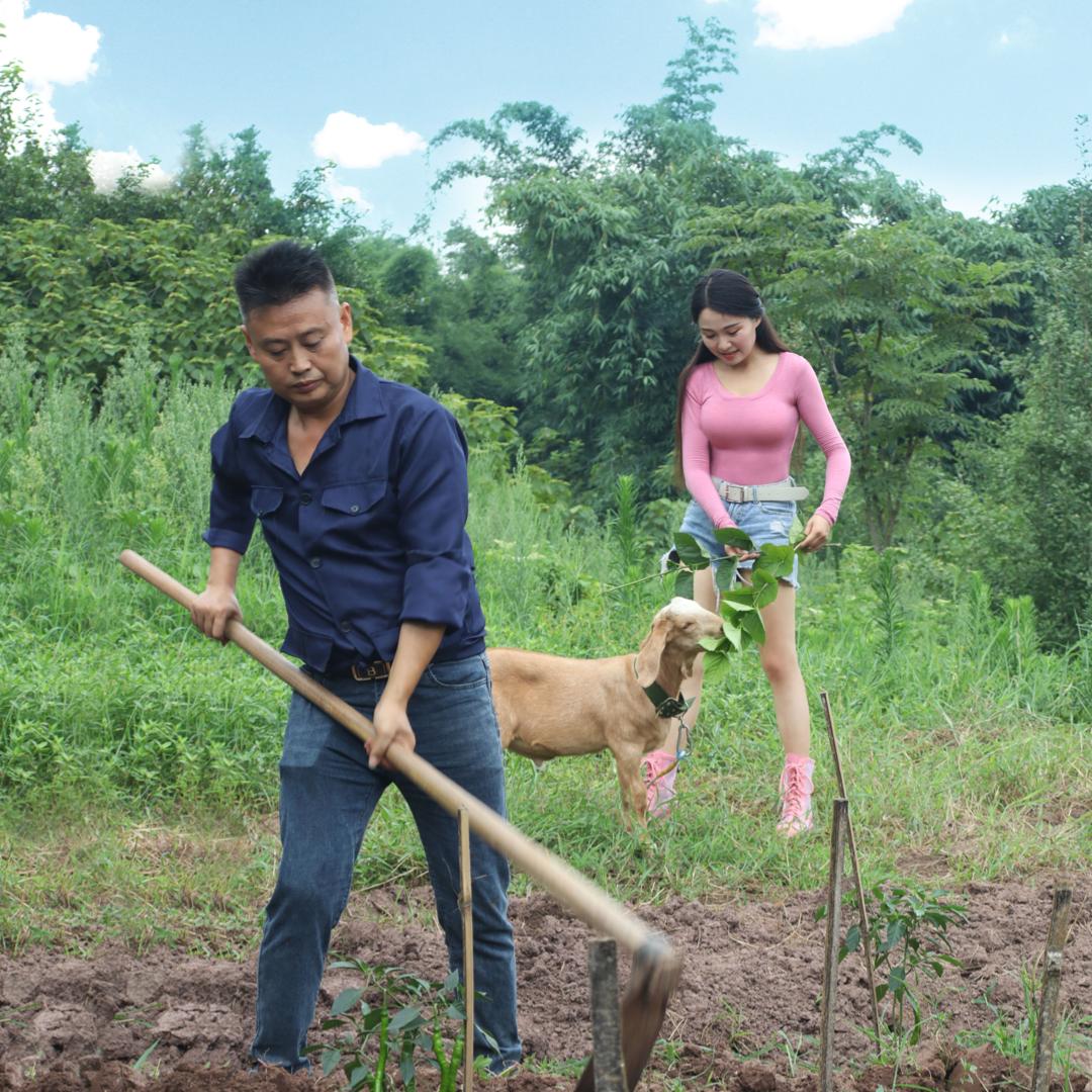 鱼公子的农村生活
