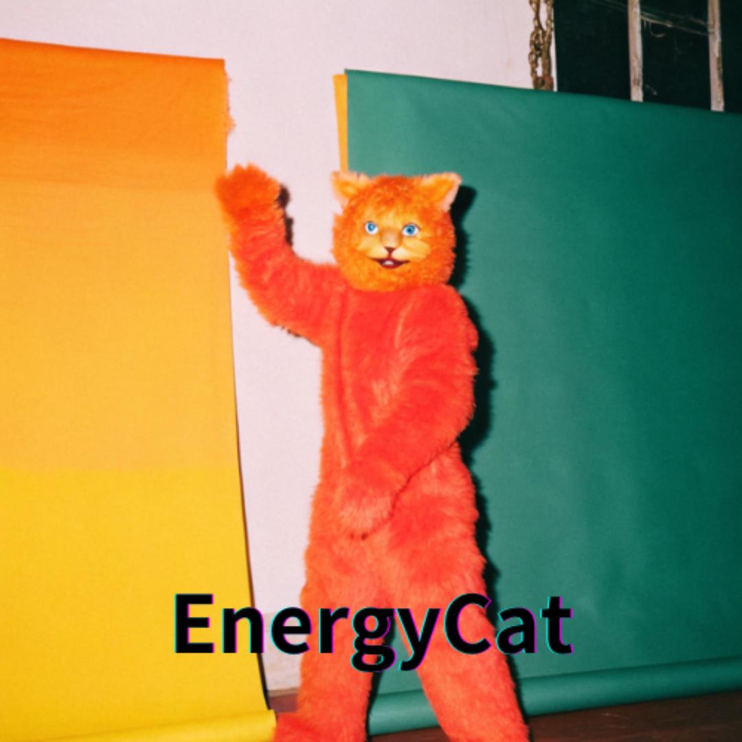 能量猫科技@抖音