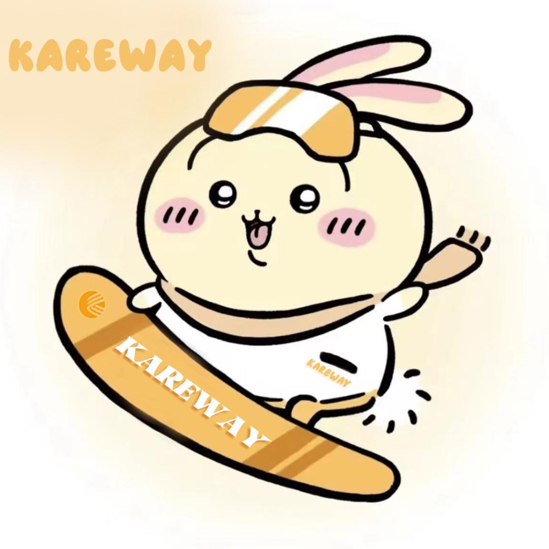 胡厂长的雪板库(源头工厂)