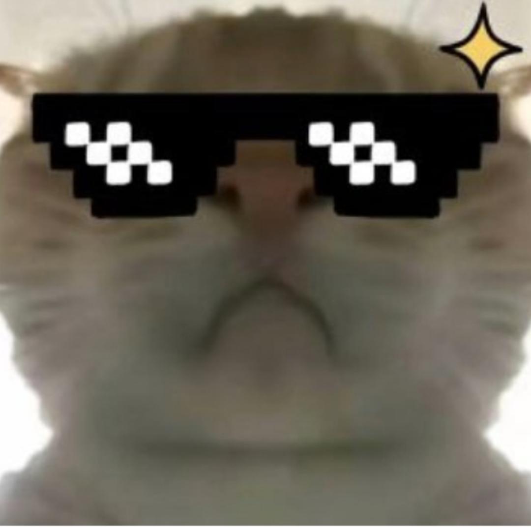 鼠鼠成长日记（三角洲行动）