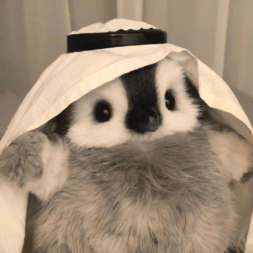野趣大自然