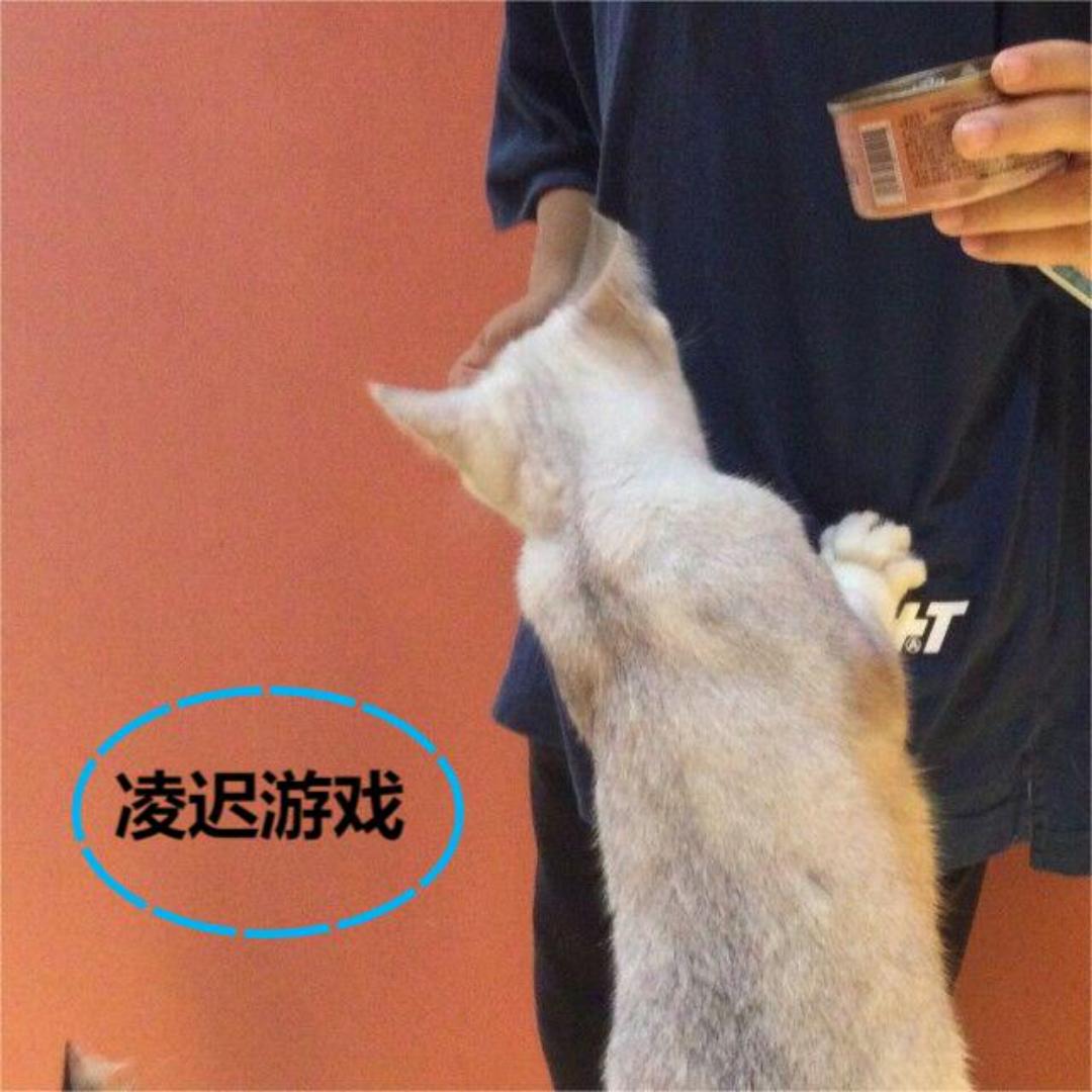 凌迟游戏解说
