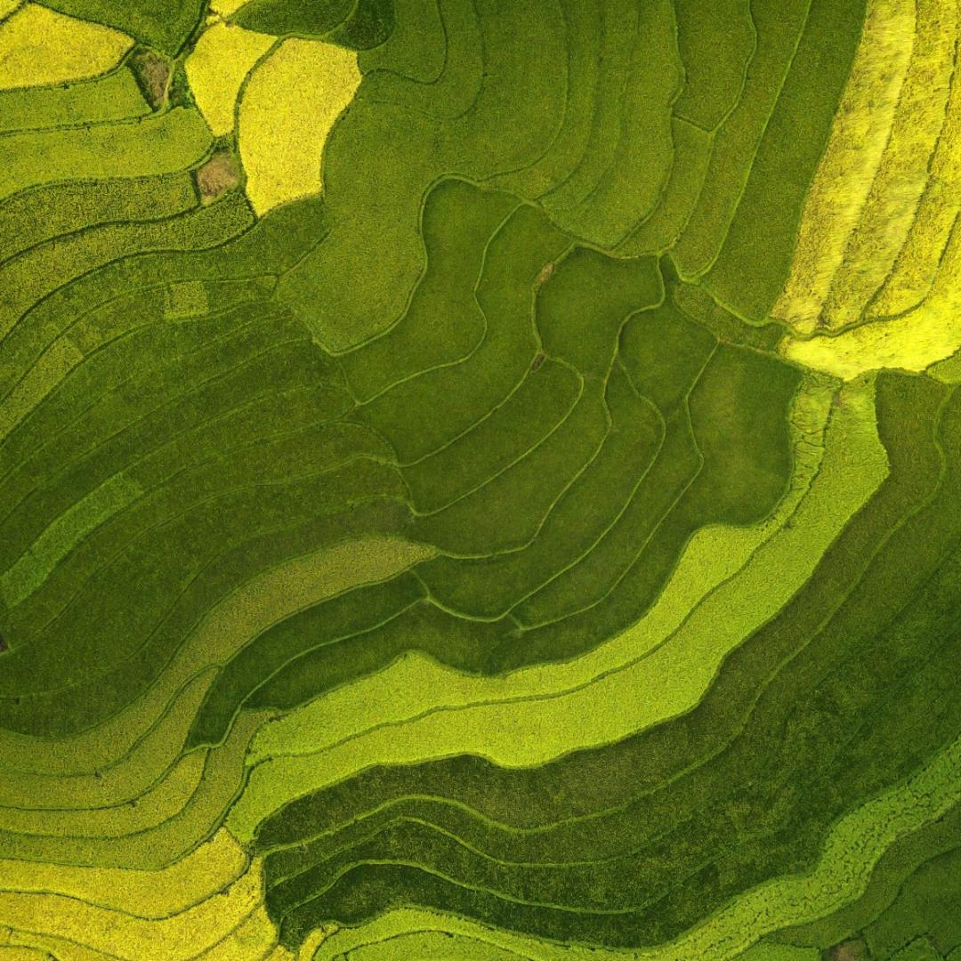 硕果累累
