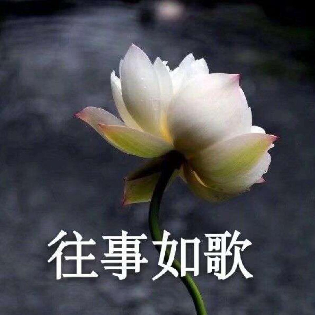 往事如歌