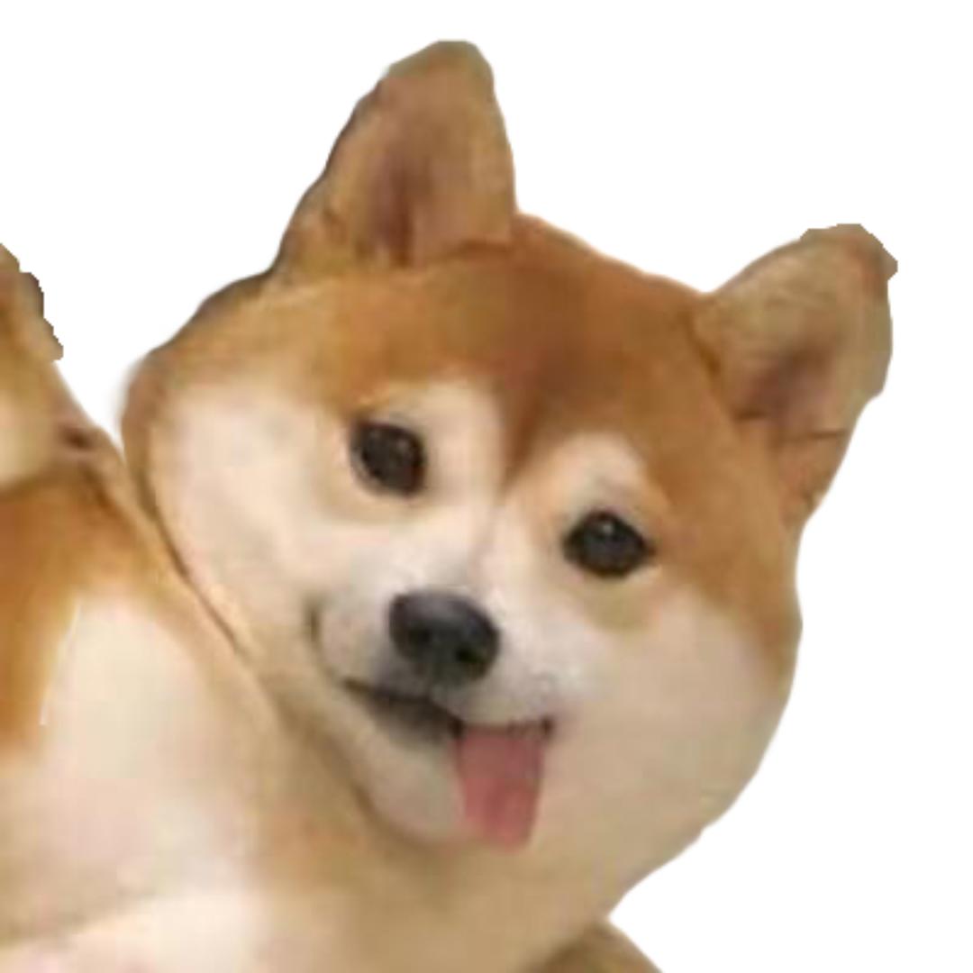 修狗儿